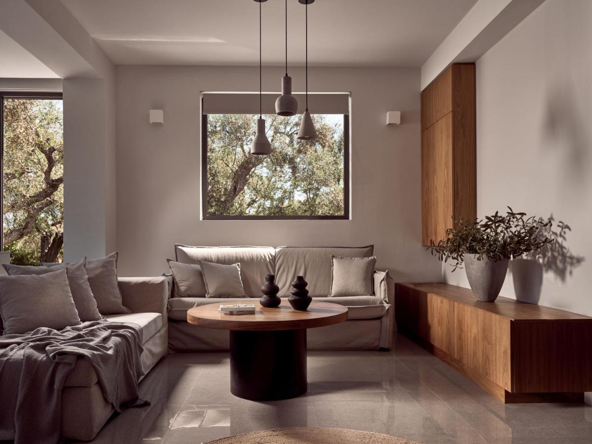 Drallos Luxury Villa Alykanas  Luaran gambar