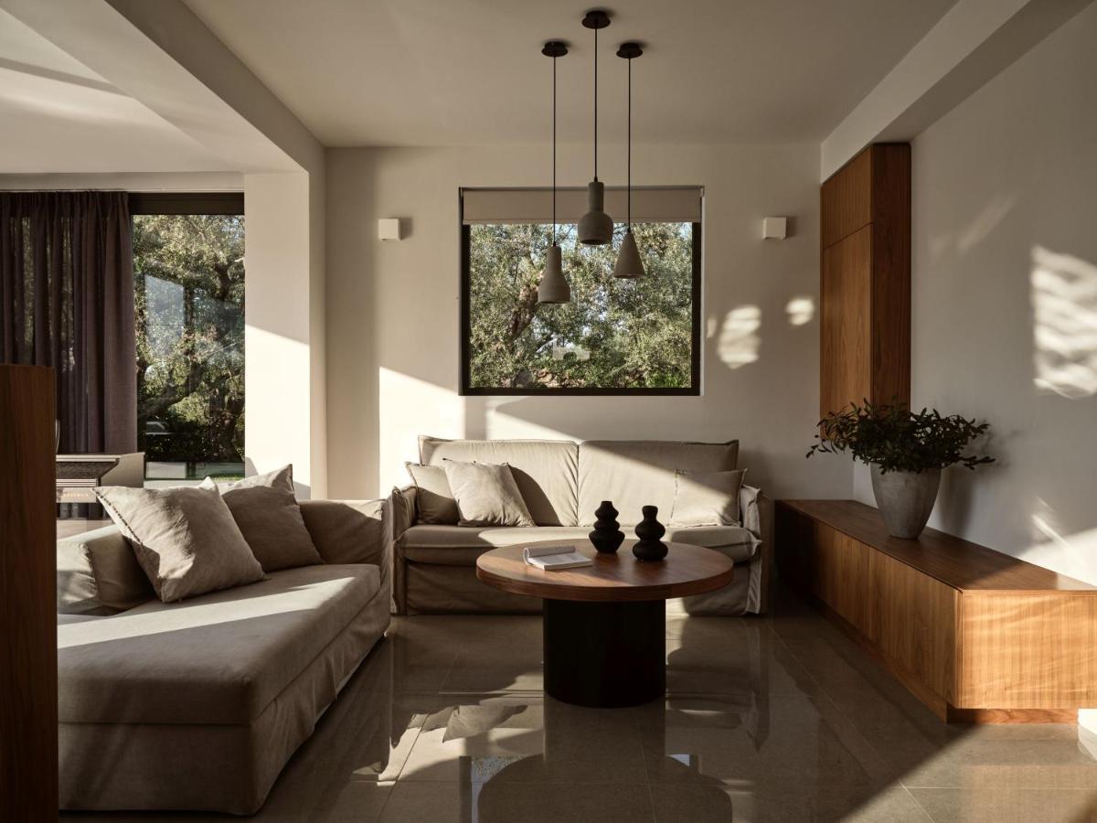 Drallos Luxury Villa Alykanas  Luaran gambar